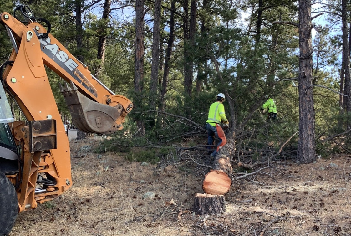 Tree Trimming